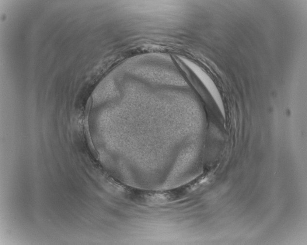 X0000075380513200609291554