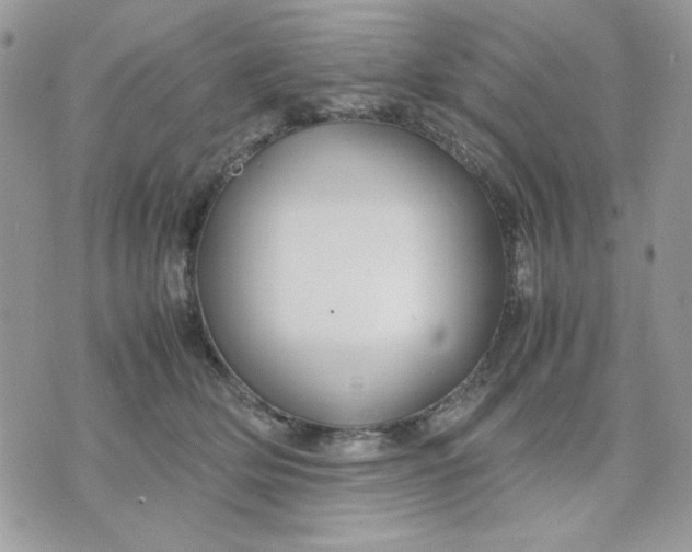 X0000075380514200609291554