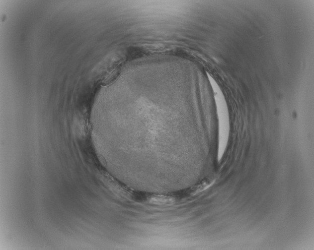 X0000075380515200609291554