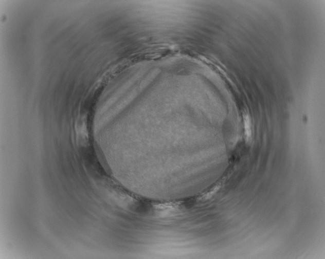 X0000075380516200609291554