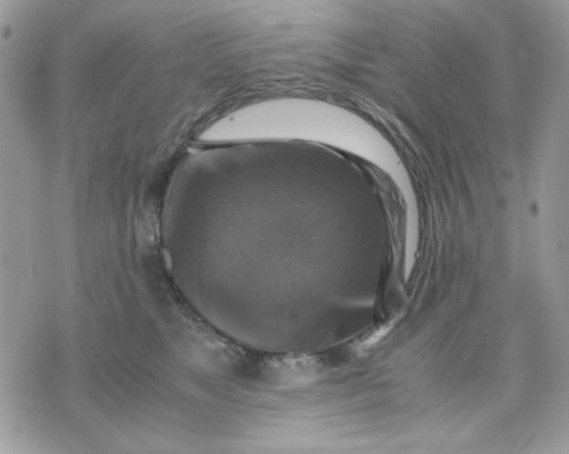 X0000075380517200609291554