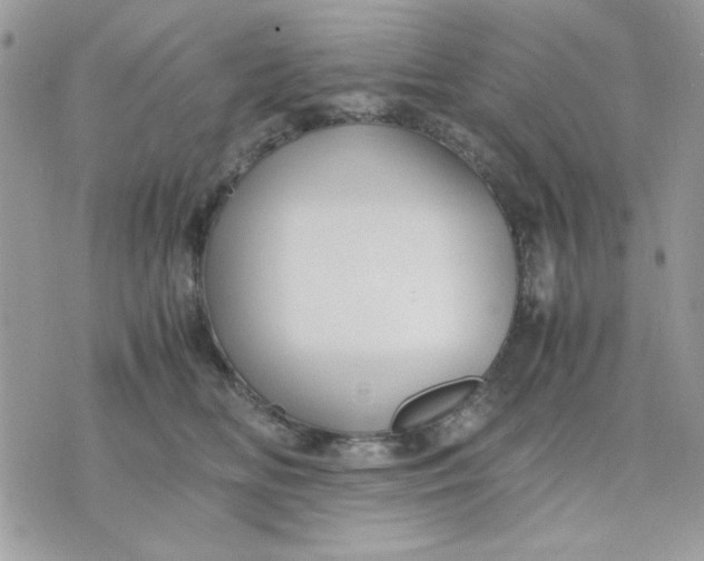 X0000075380518200609291554