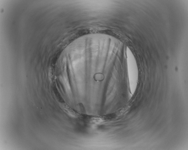 X0000075380519200609291554