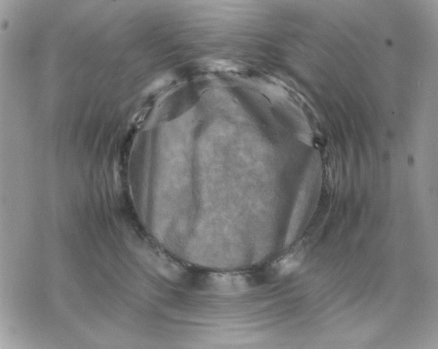 X0000075380520200609291554