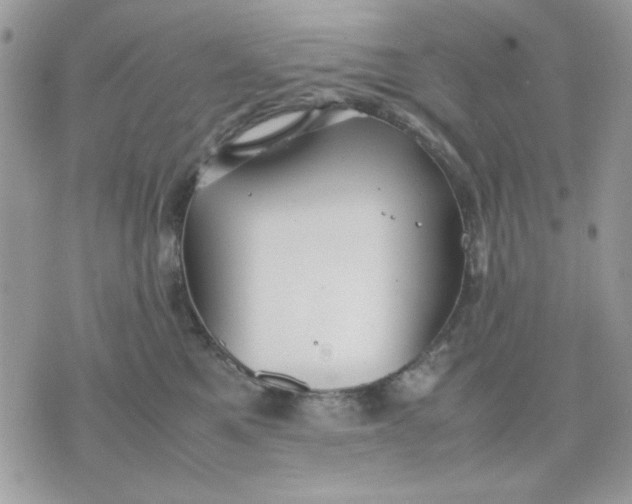 X0000075380521200609291554