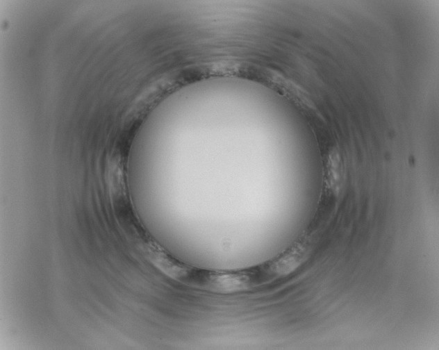 X0000075380522200609291554