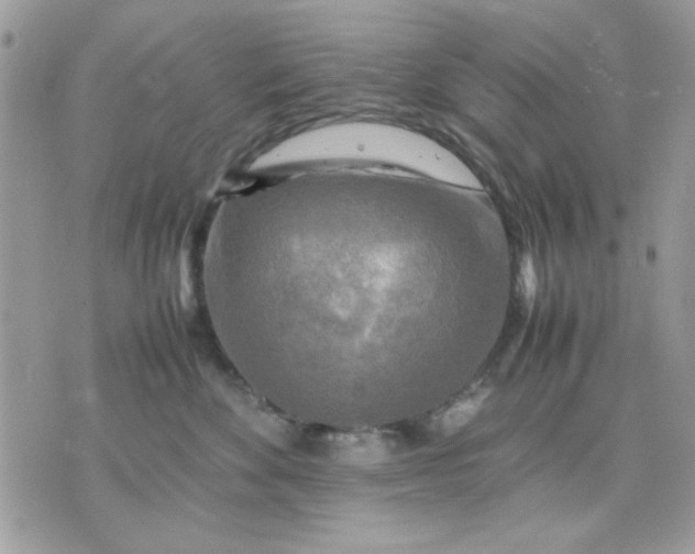 X0000075380524200609291554