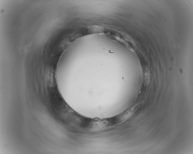 X0000075380525200609291554