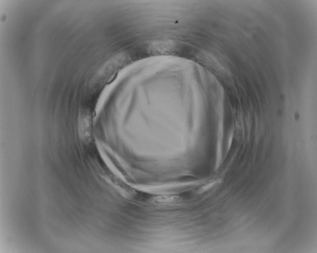 X0000075380526200609291554