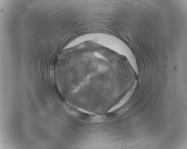 X0000075380527200609291554