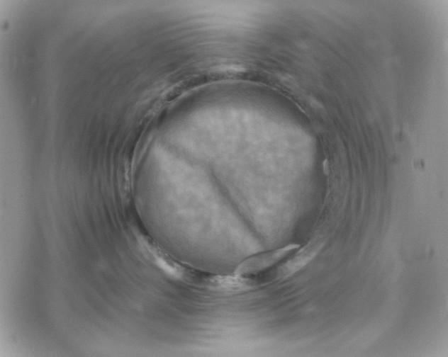 X0000075380528200609291554