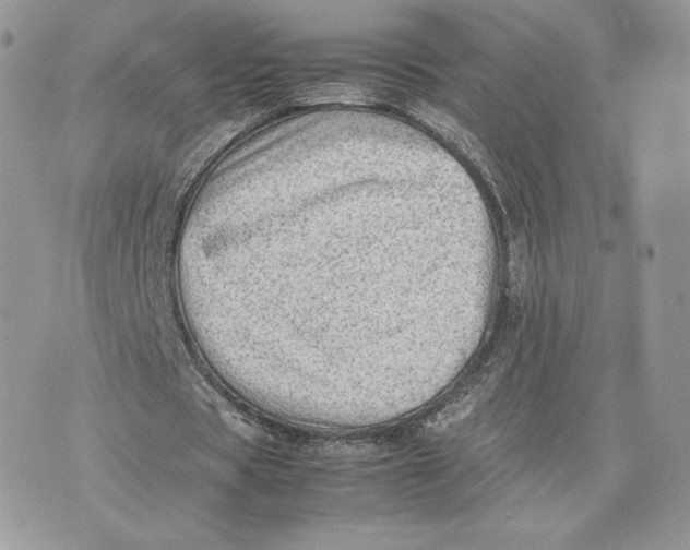 X0000075380529200609291553