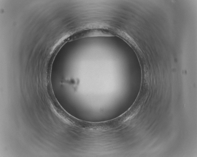 X0000075380530200609291553