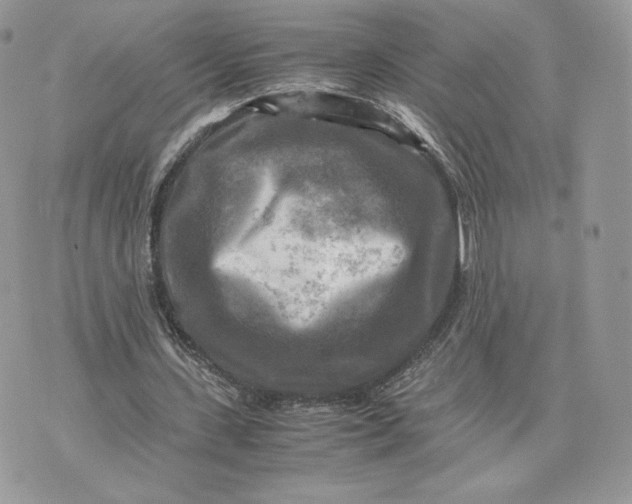 X0000075380531200609291553