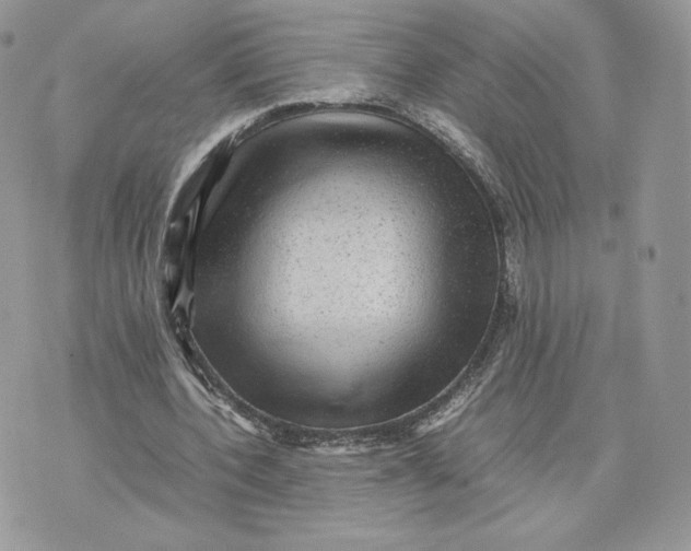 X0000075380532200609291553