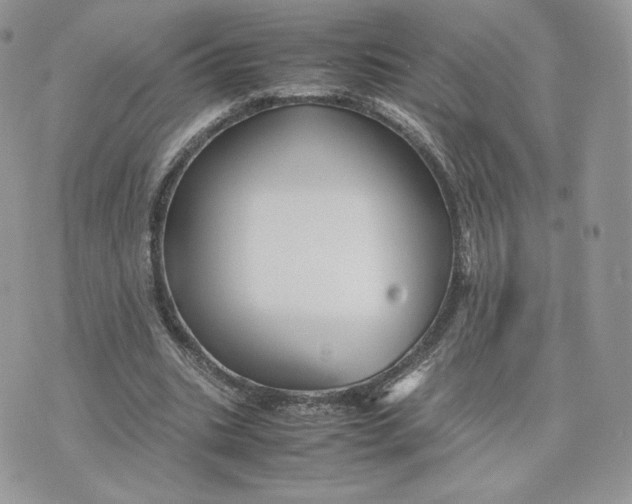 X0000075380535200609291553