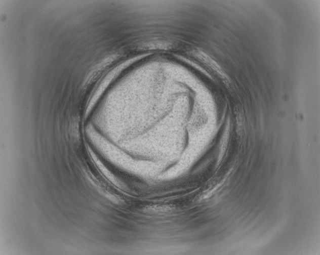 X0000075380537200609291553