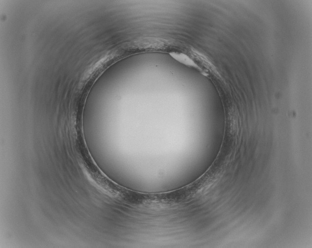 X0000075380538200609291553