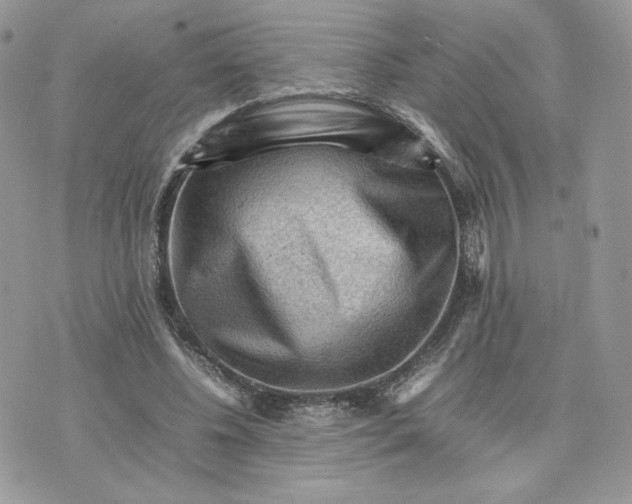 X0000075380540200609291553