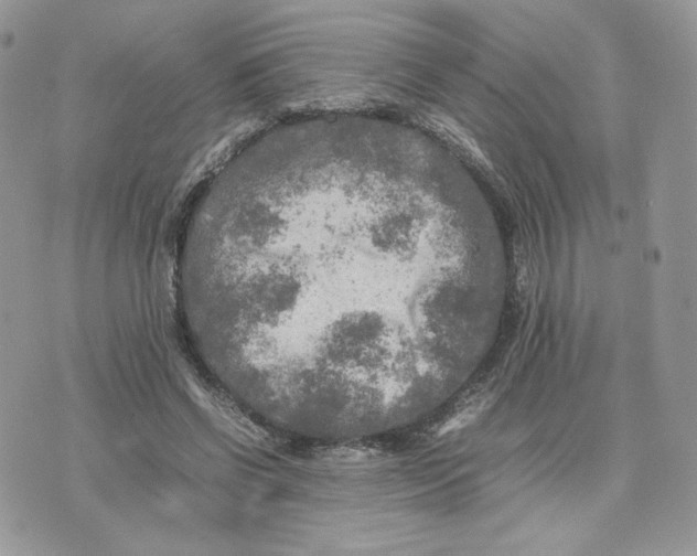 X0000075380542200609291553