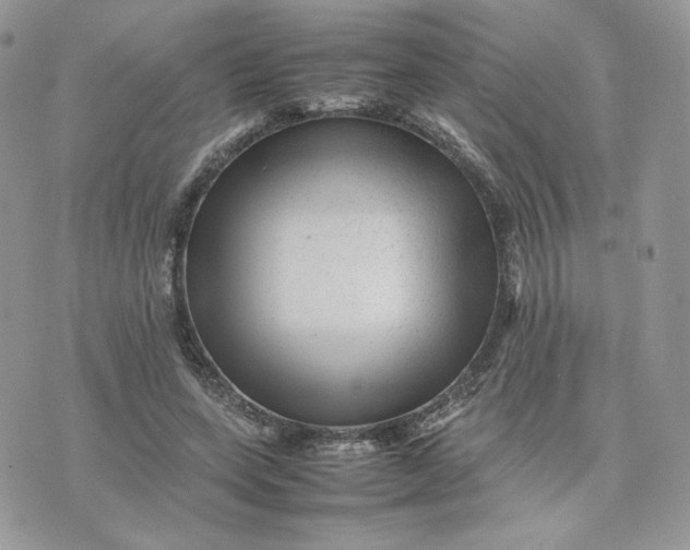 X0000075380543200609291553