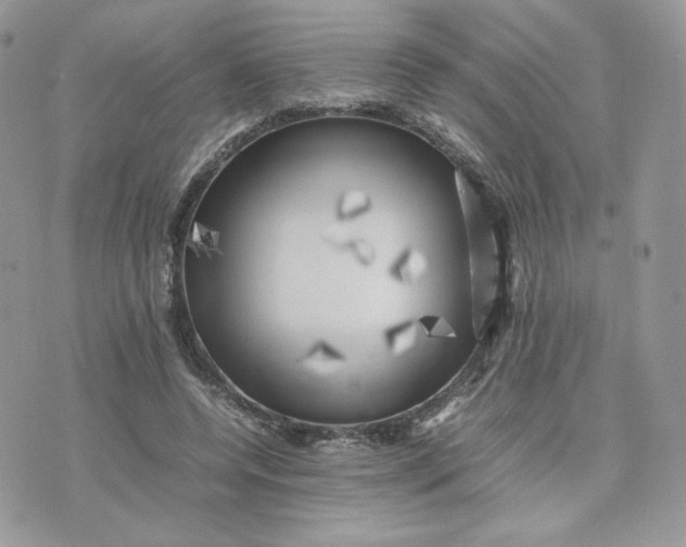 X0000075380544200609291553