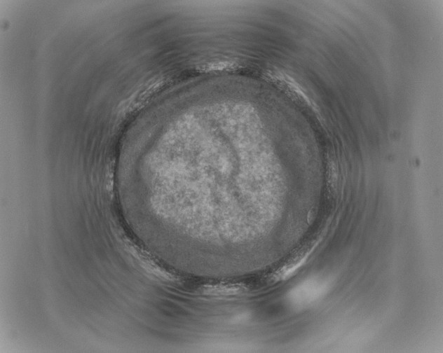 X0000075380545200609291553