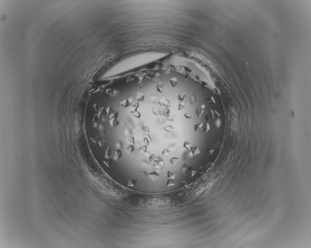 X0000075380546200609291553