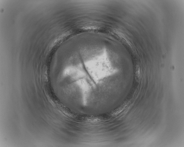 X0000075380547200609291553