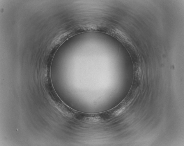 X0000075380548200609291553