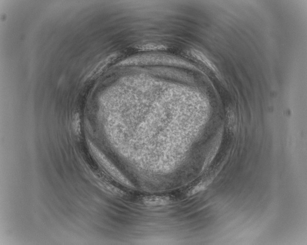 X0000075380549200609291553