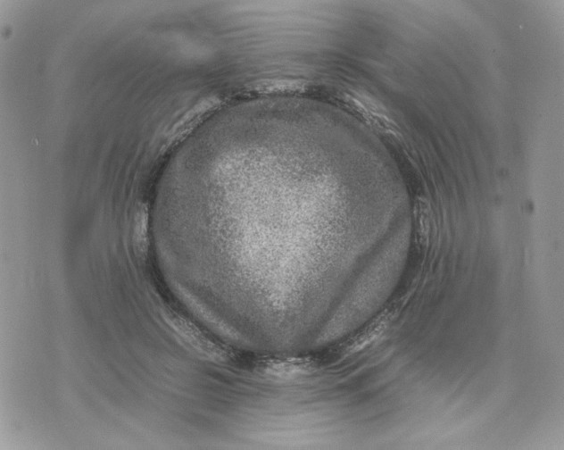 X0000075380550200609291553