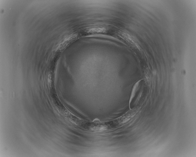 X0000075380551200609291553