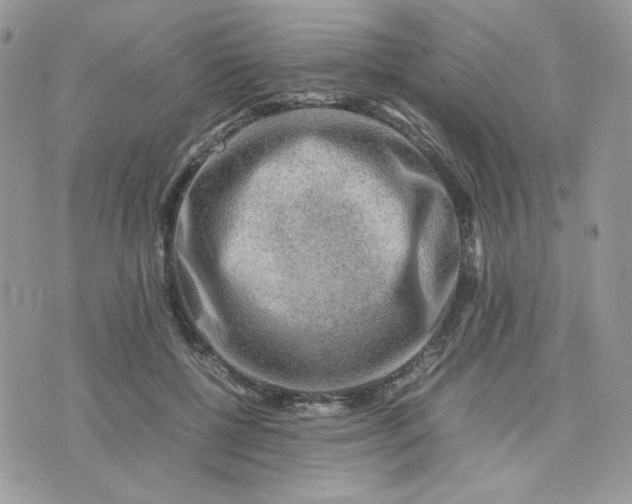 X0000075380552200609291553