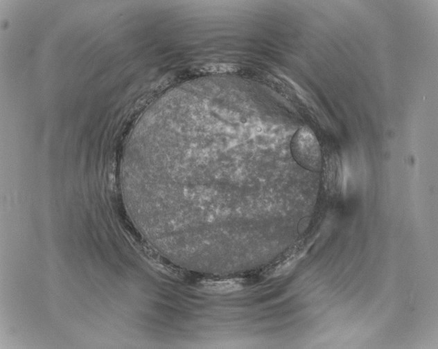 X0000075380553200609291553