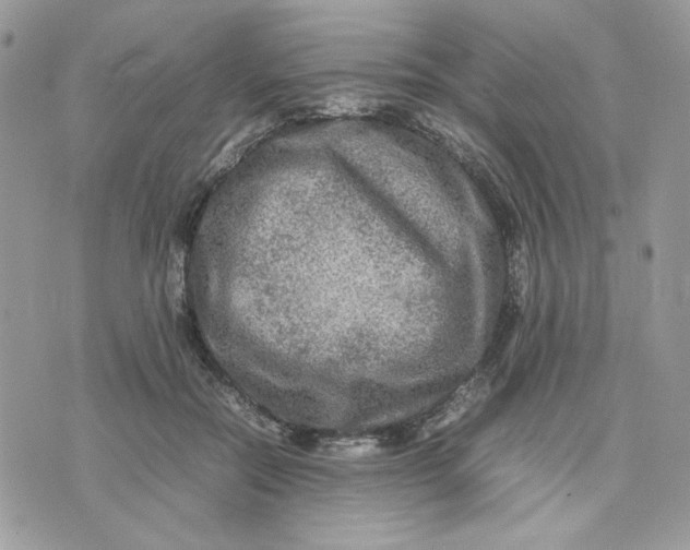 X0000075380554200609291554