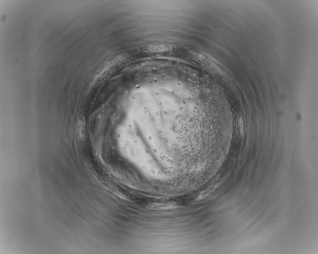 X0000075380556200609291554