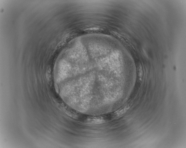 X0000075380559200609291554