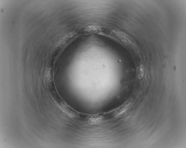 X0000075380560200609291554