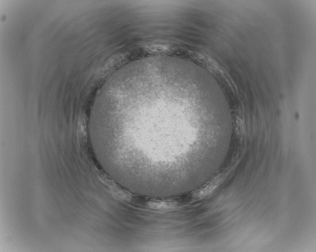 X0000075380561200609291554