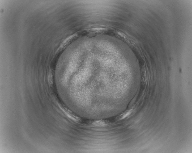 X0000075380562200609291554