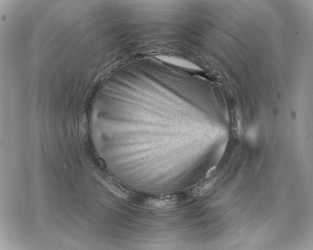 X0000075380563200609291554