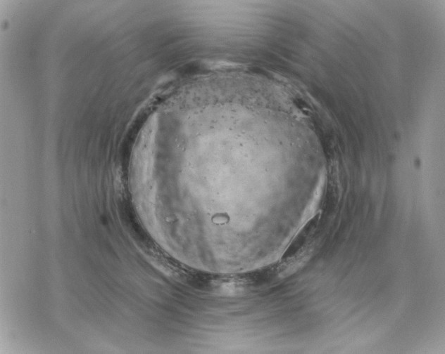 X0000075380564200609291554