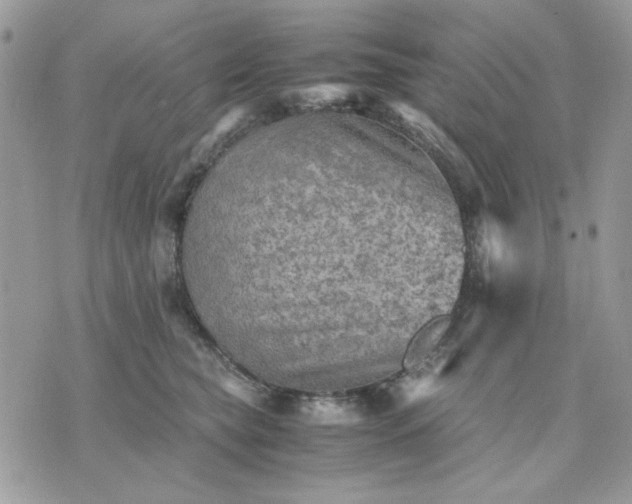 X0000075380565200609291554