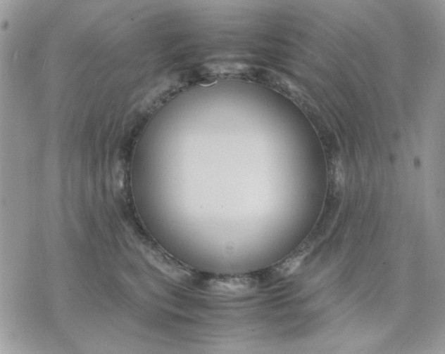 X0000075380567200609291554