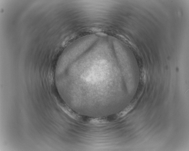 X0000075380568200609291554