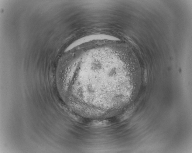 X0000075380569200609291554