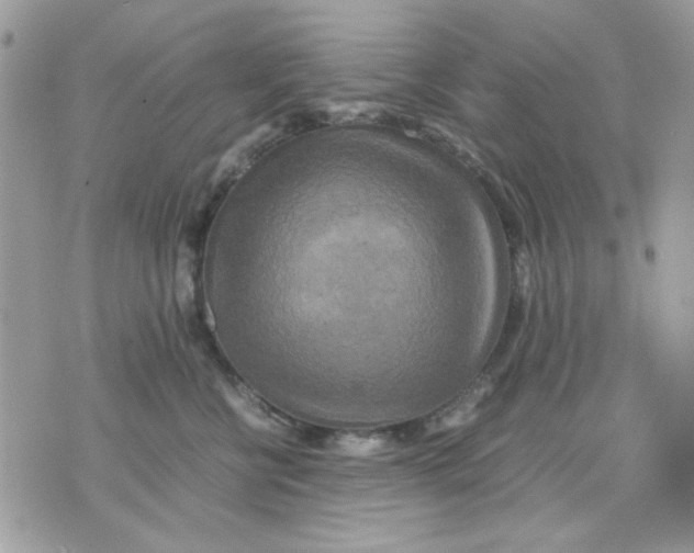 X0000075380570200609291554