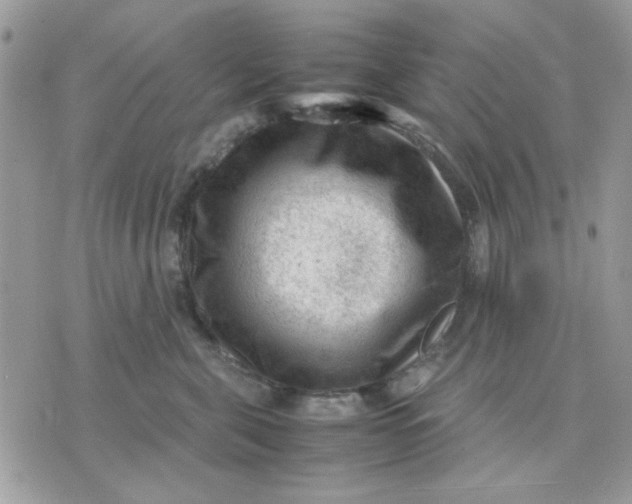 X0000075380571200609291554