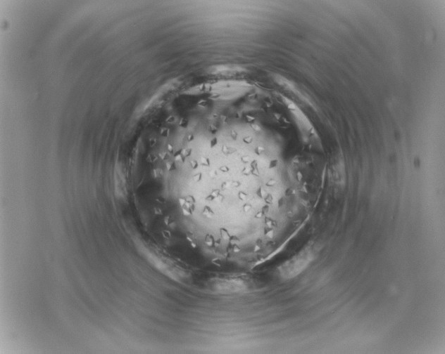 X0000075380572200609291554